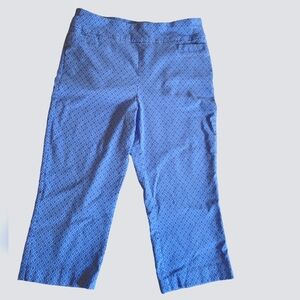 size 10P Kim Rogers capris